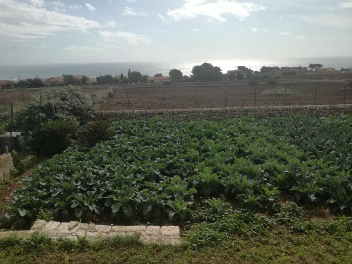 villa bove Marina di Ragusa Exteriör bild